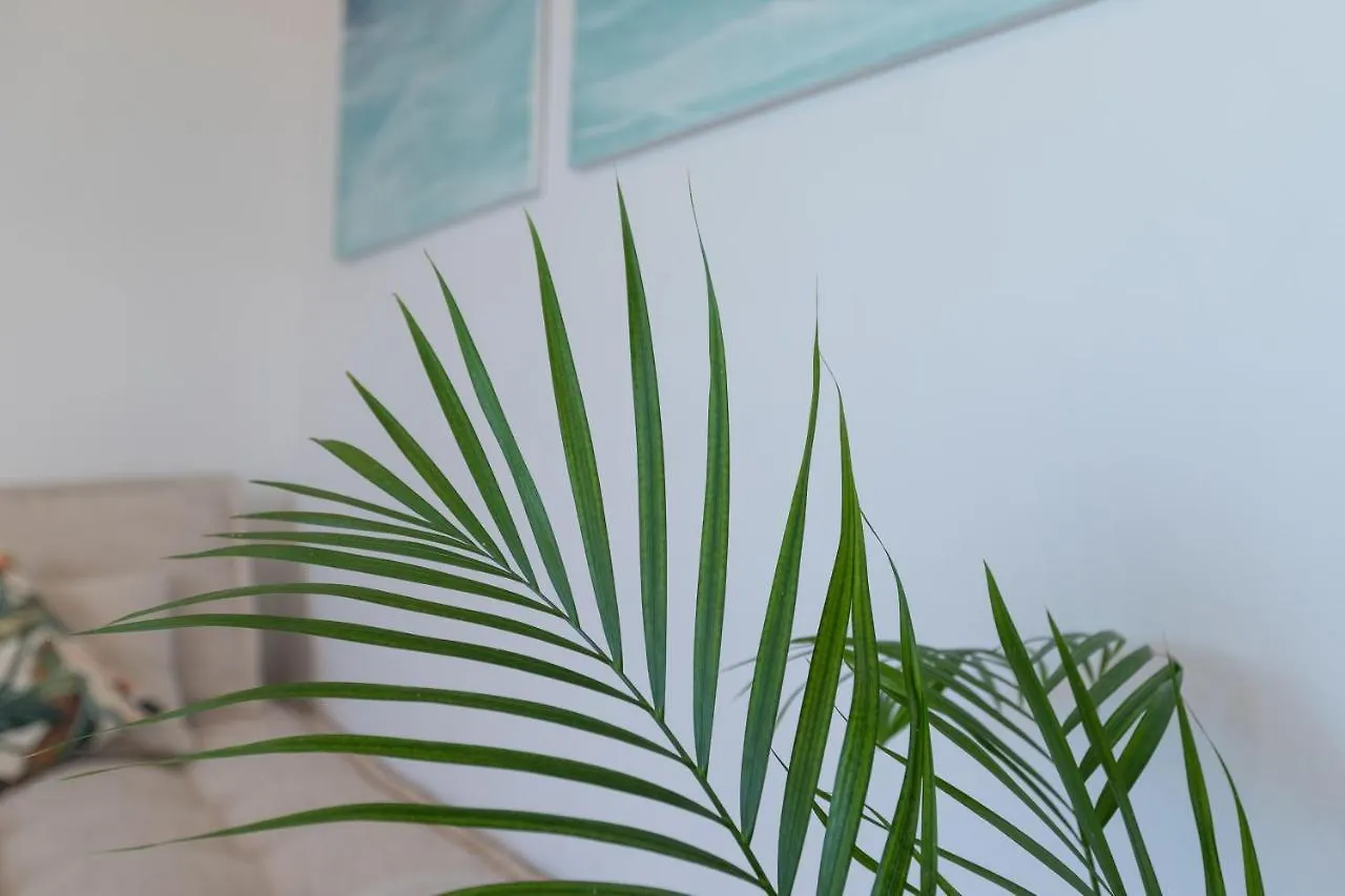 Atico Gran Sol (Adults Only) Apartment Rincon de la Victoria Spain